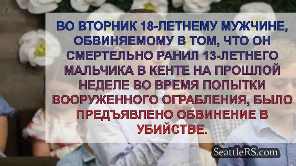 Подросток обвиняется в убийстве после