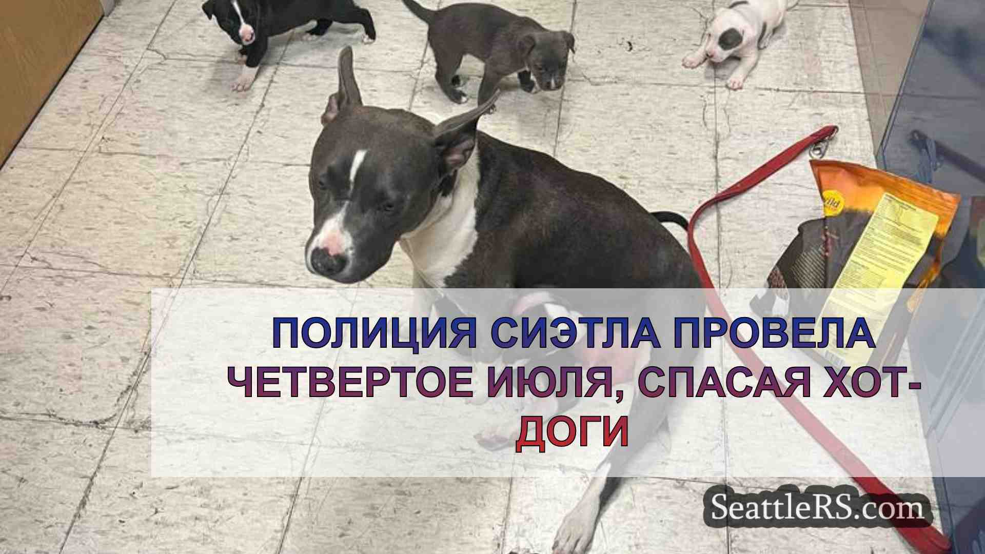 Новости Сиэтла SeattleRS