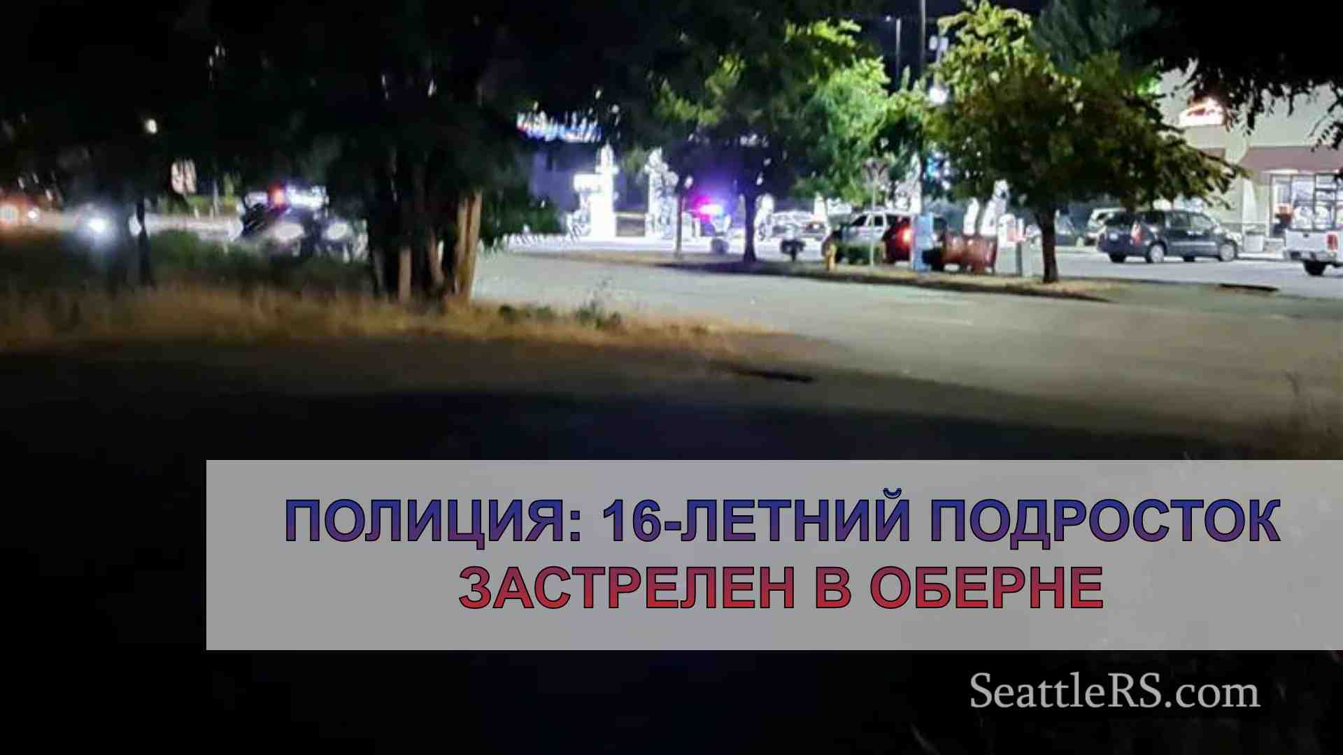 Полиция: 16-летний подросток застрелен