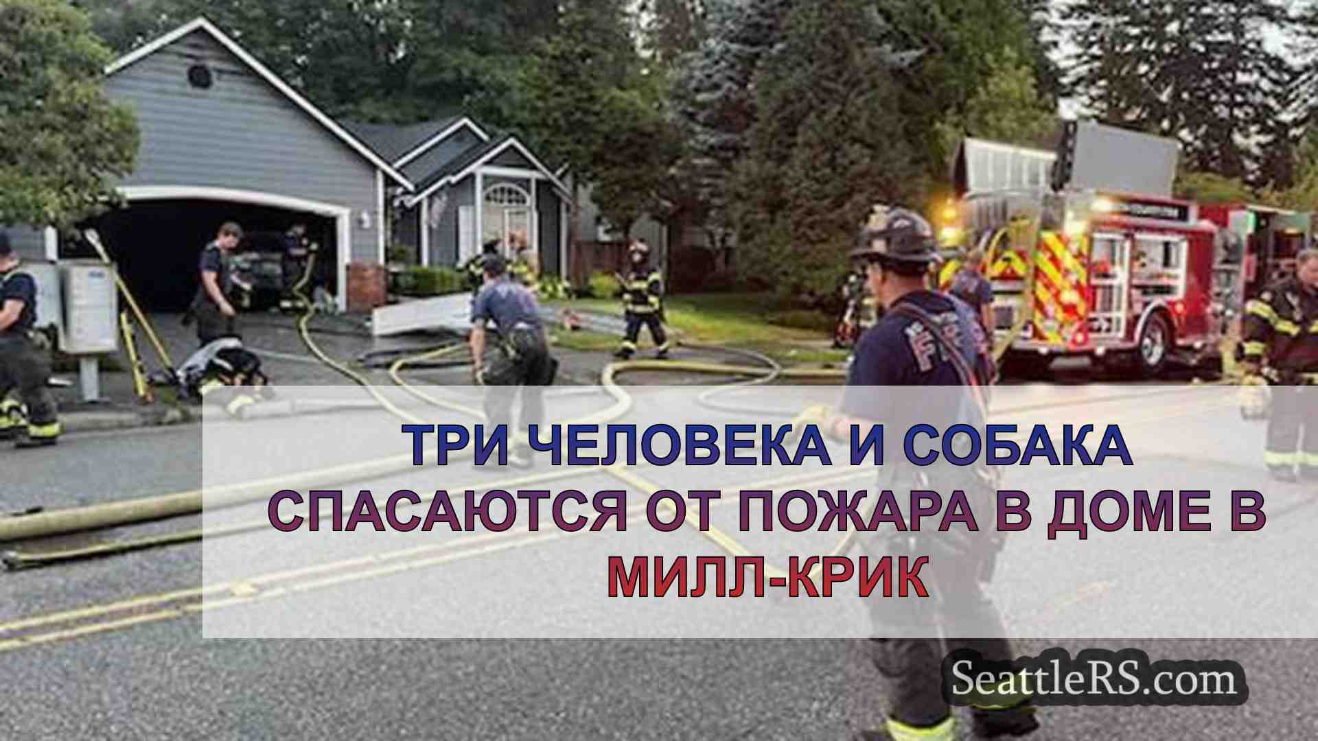 Три человека и собака спасаются от