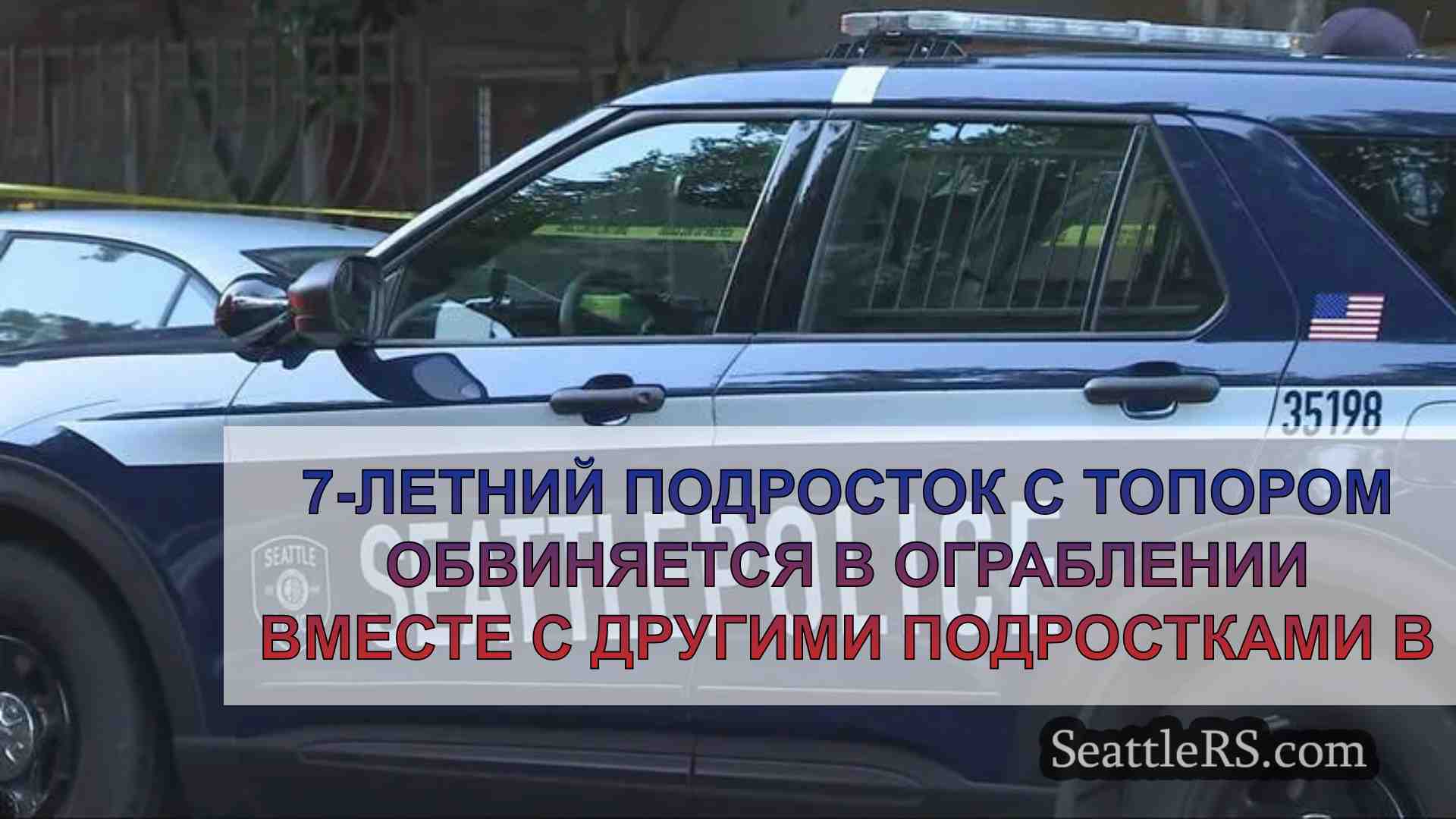 7-летний подросток с топором обвиняется