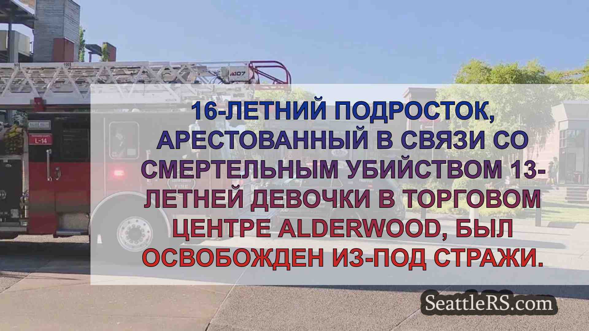 16-летний подросток, арестованный в