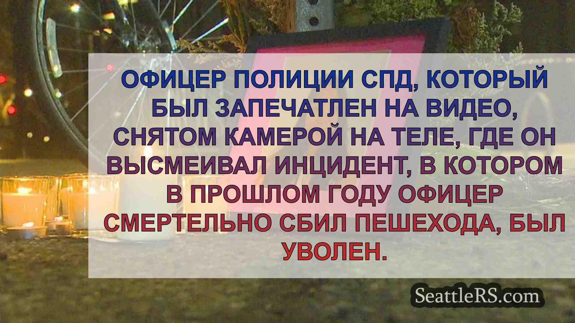 Начальник полиции СПД уволил офицера,