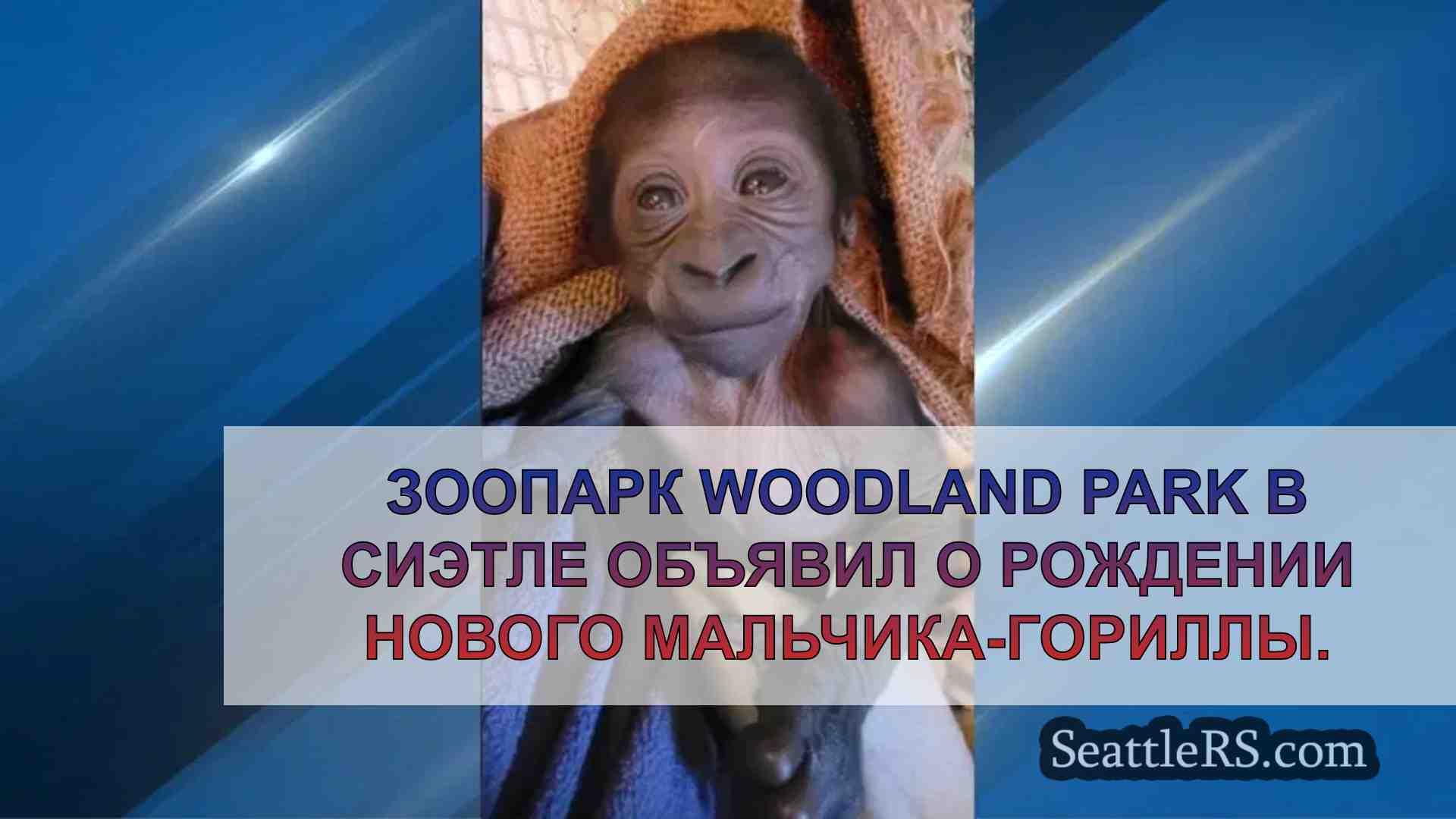 Зоопарк Woodland Park в Сиэтле