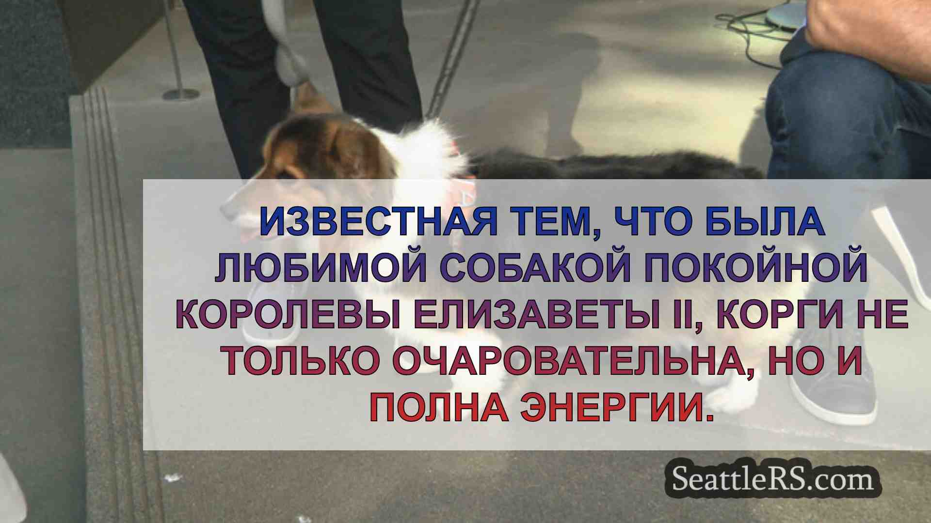 Новости Сиэтла SeattleRS