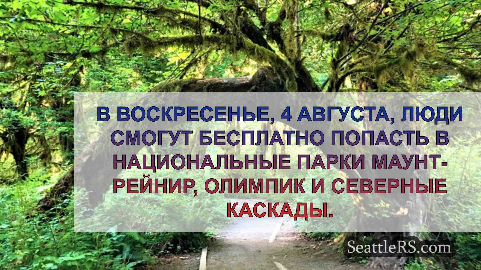 В это воскресенье вы можете попасть в