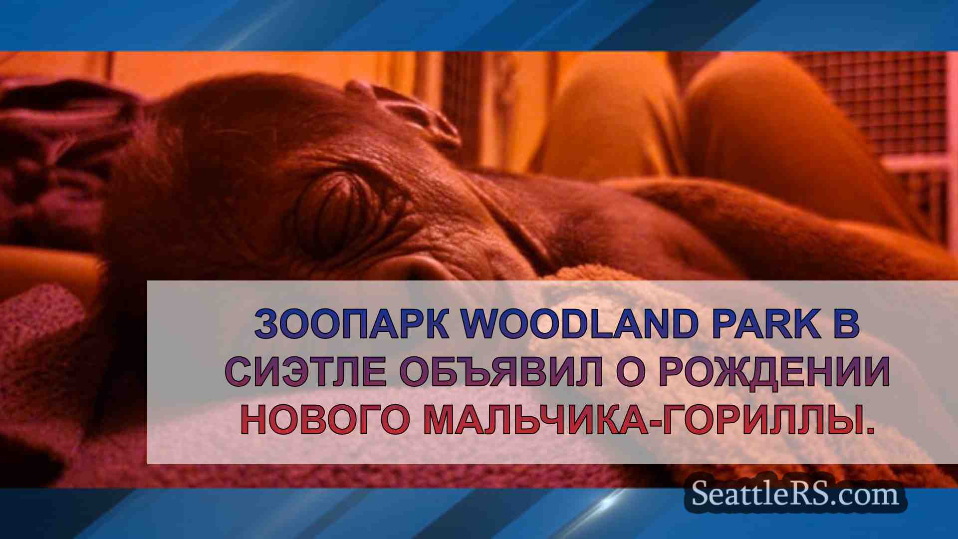 Новости Сиэтла SeattleRS