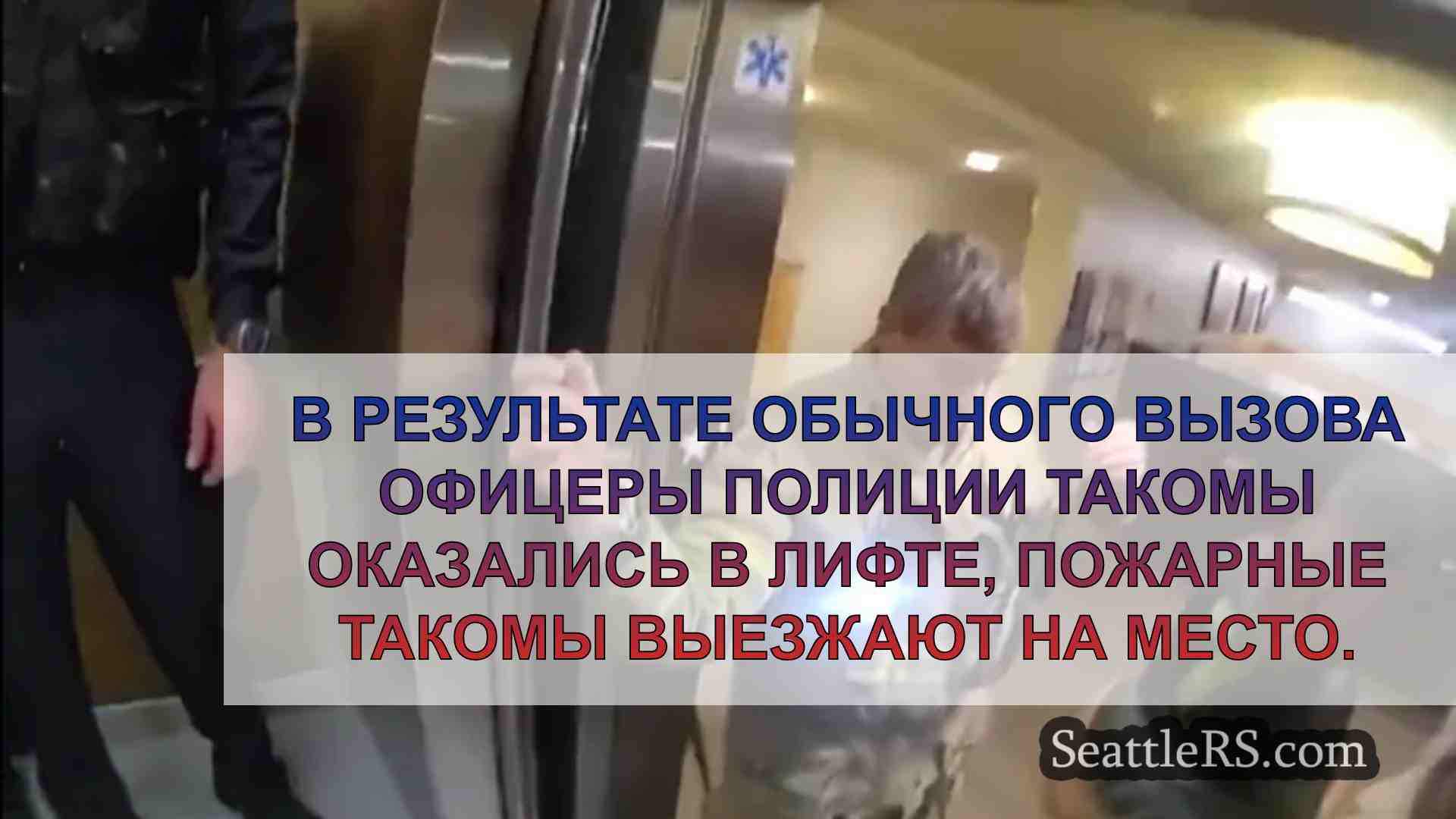 В результате обычного вызова офицеры