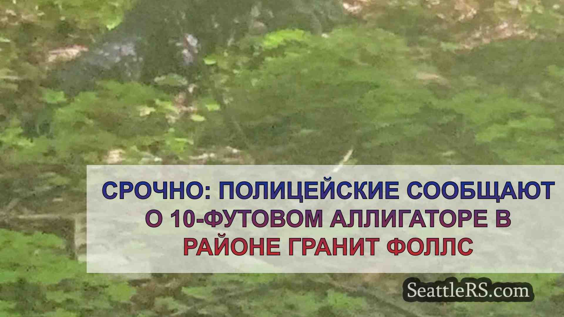 СРОЧНО: Полицейские сообщают о