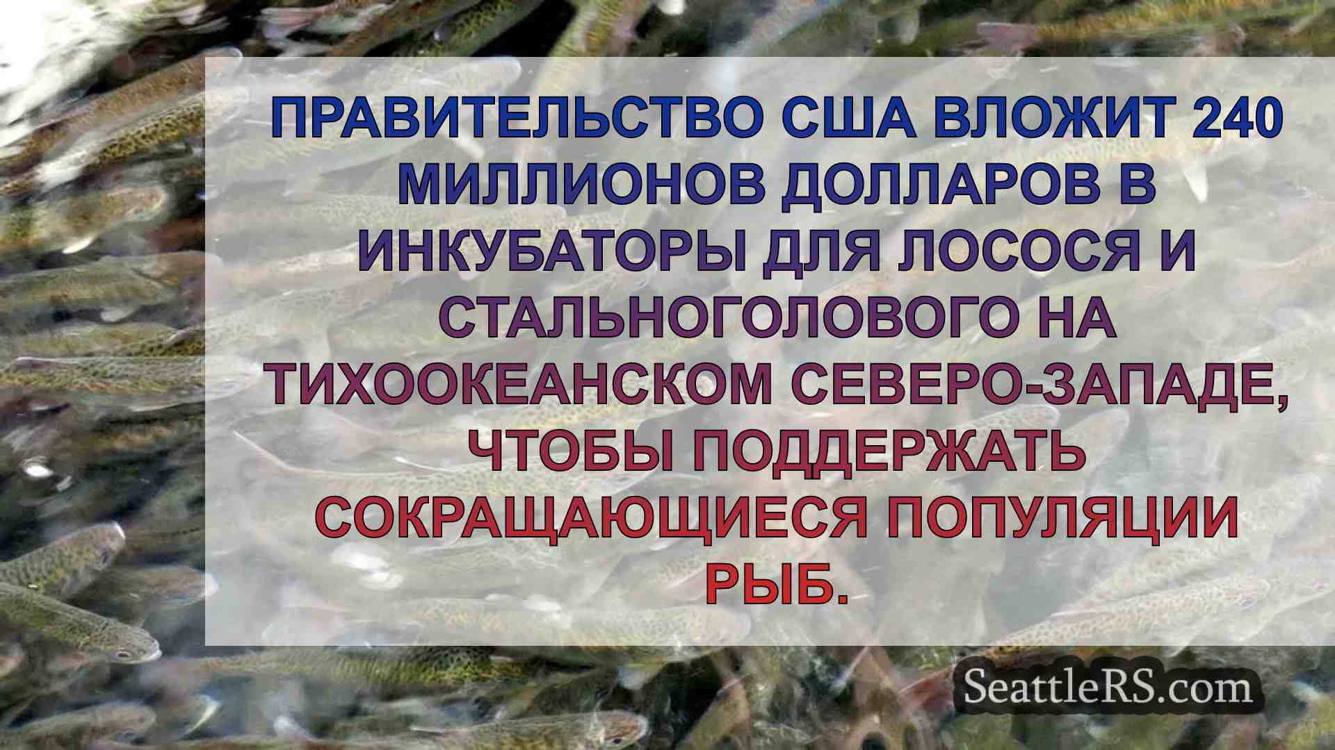 США обещают 240 млн долларов на