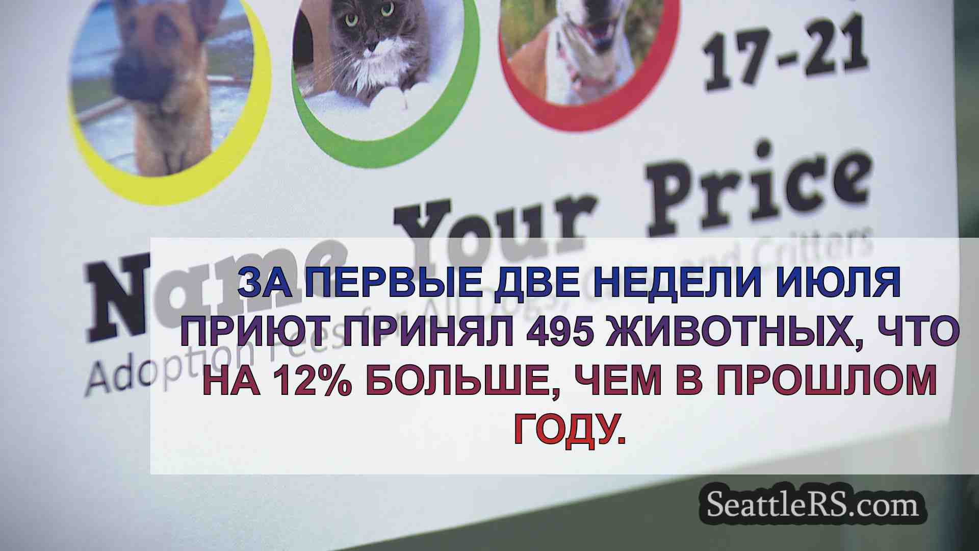 Гуманное общество Такомы и округа Пирс
