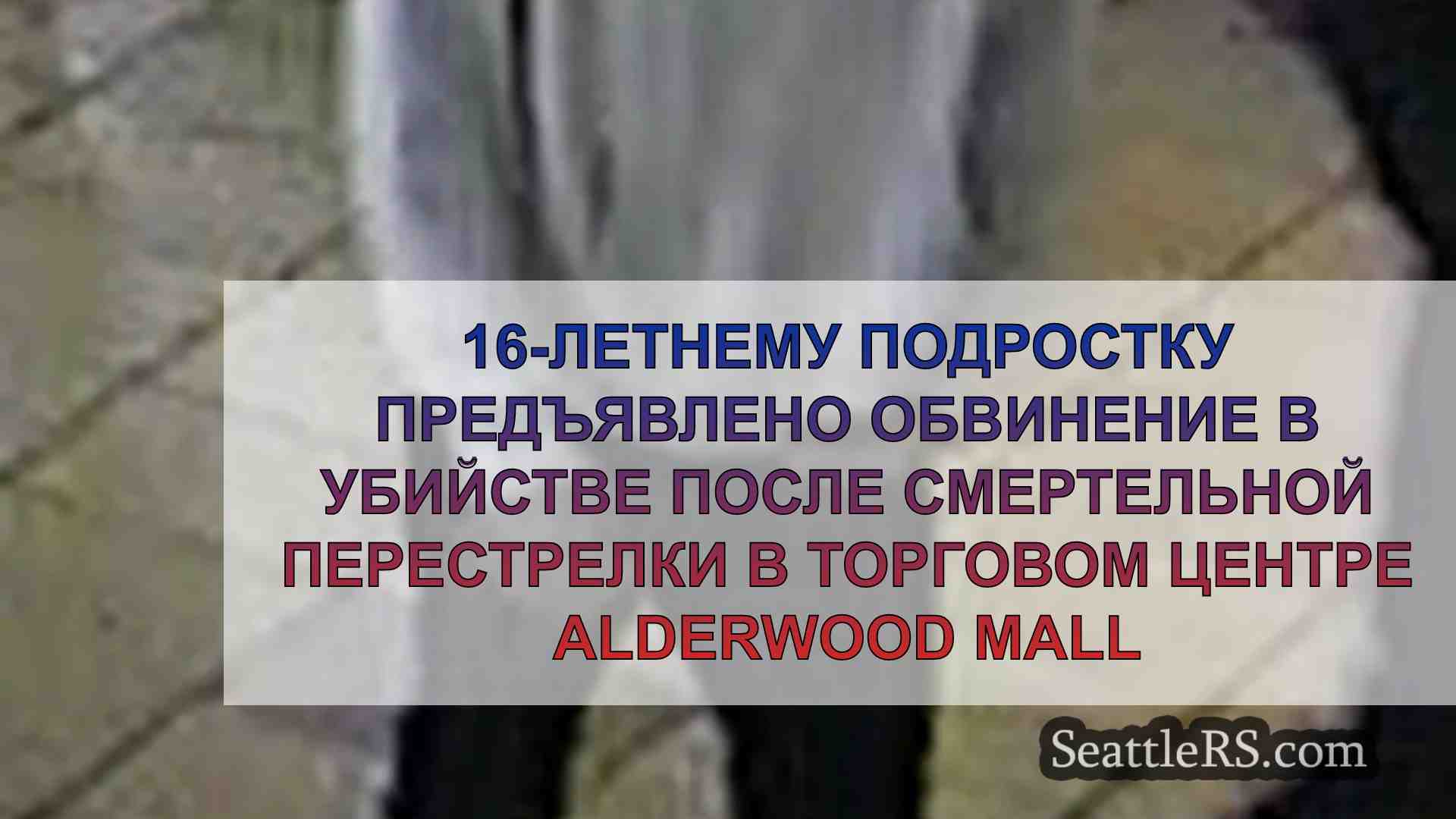 16-летнему подростку предъявлено