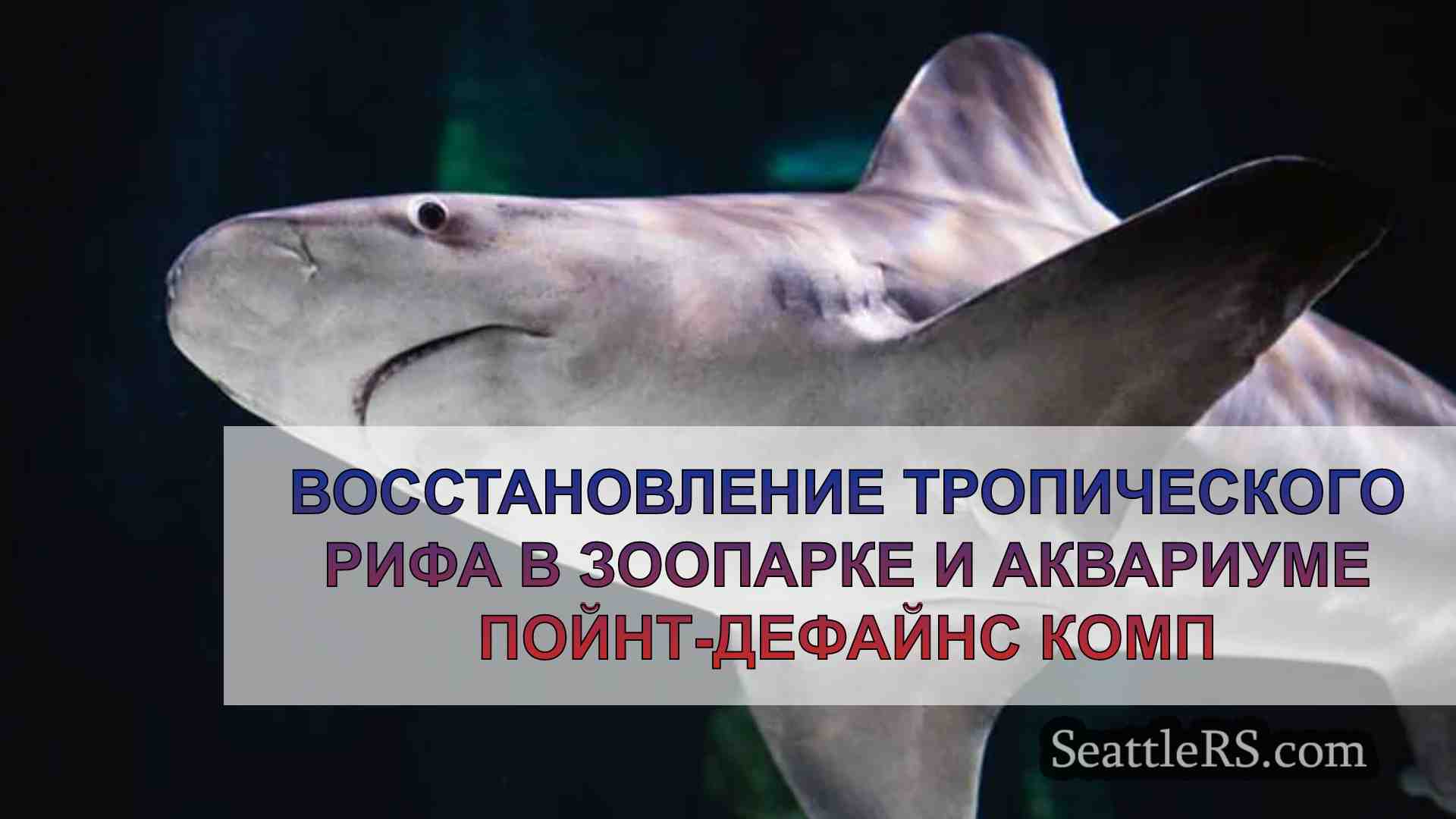 Восстановление тропического рифа в