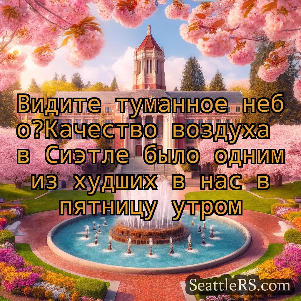 Сиэтл новости Видите туманное небо?Качество