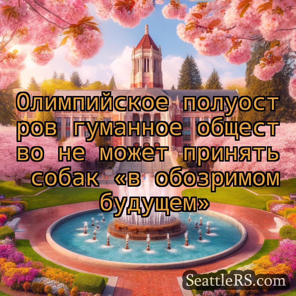 Сиэтл новости Олимпийское полуостров гуманное