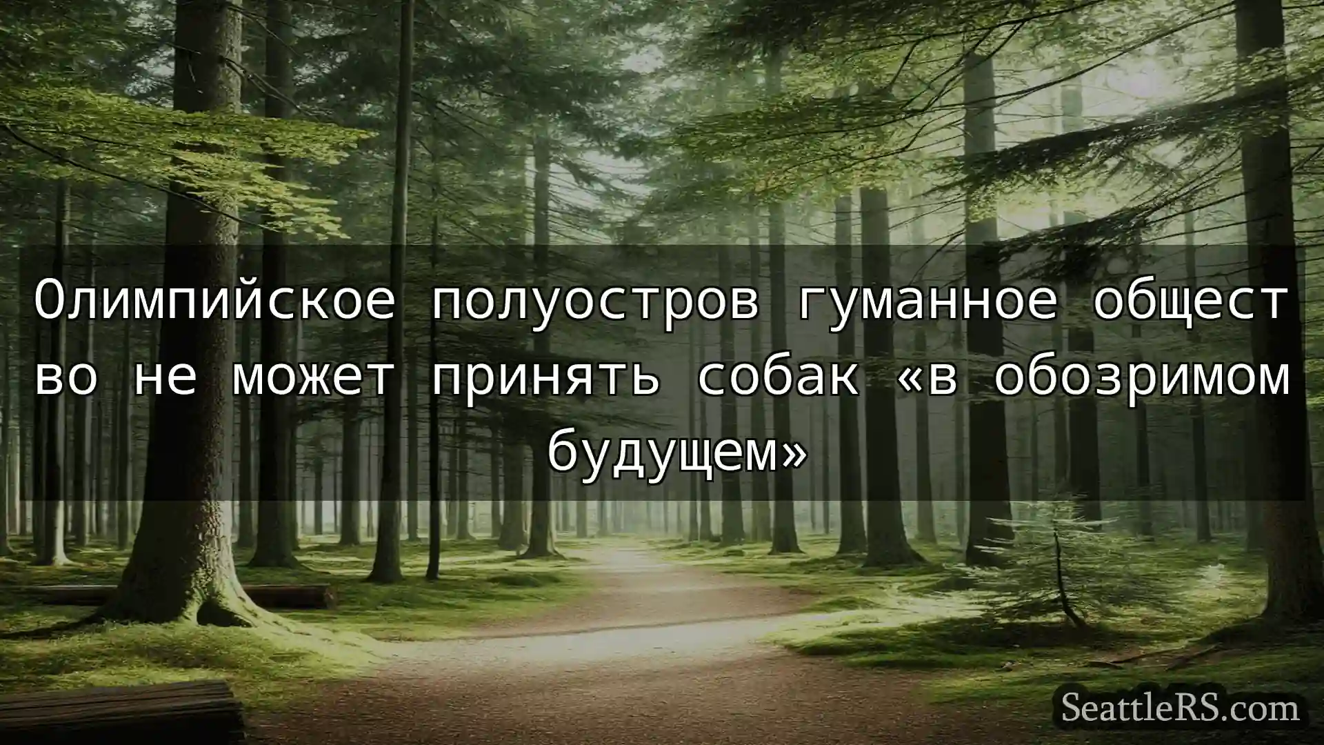 Сиэтл новости Олимпийское полуостров гуманное