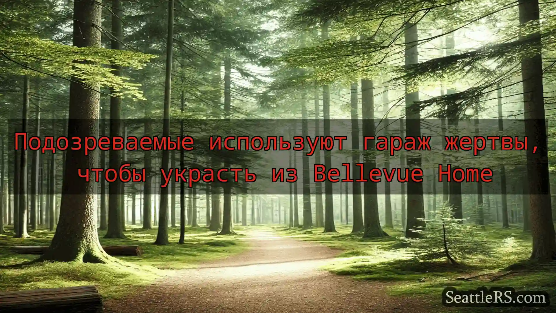 Сиэтл новости Подозреваемые используют гараж