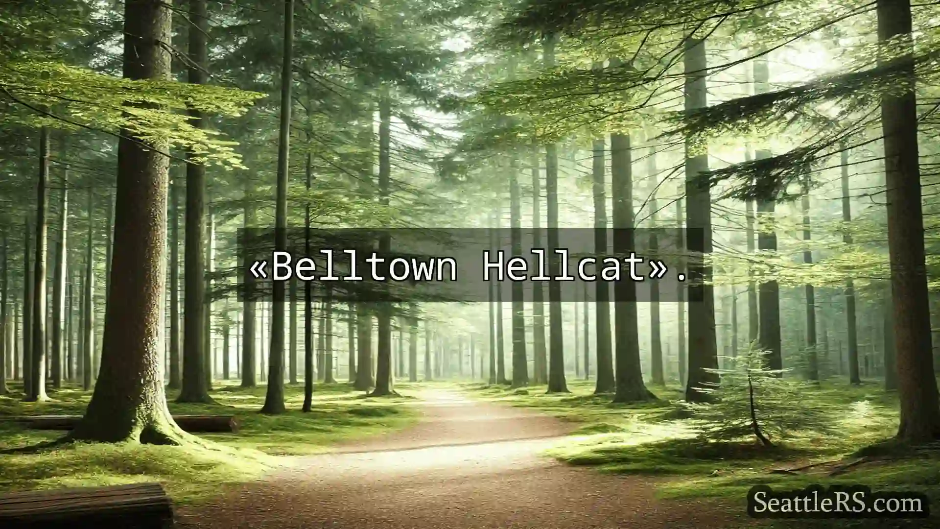 Сиэтл новости «Belltown Hellcat».