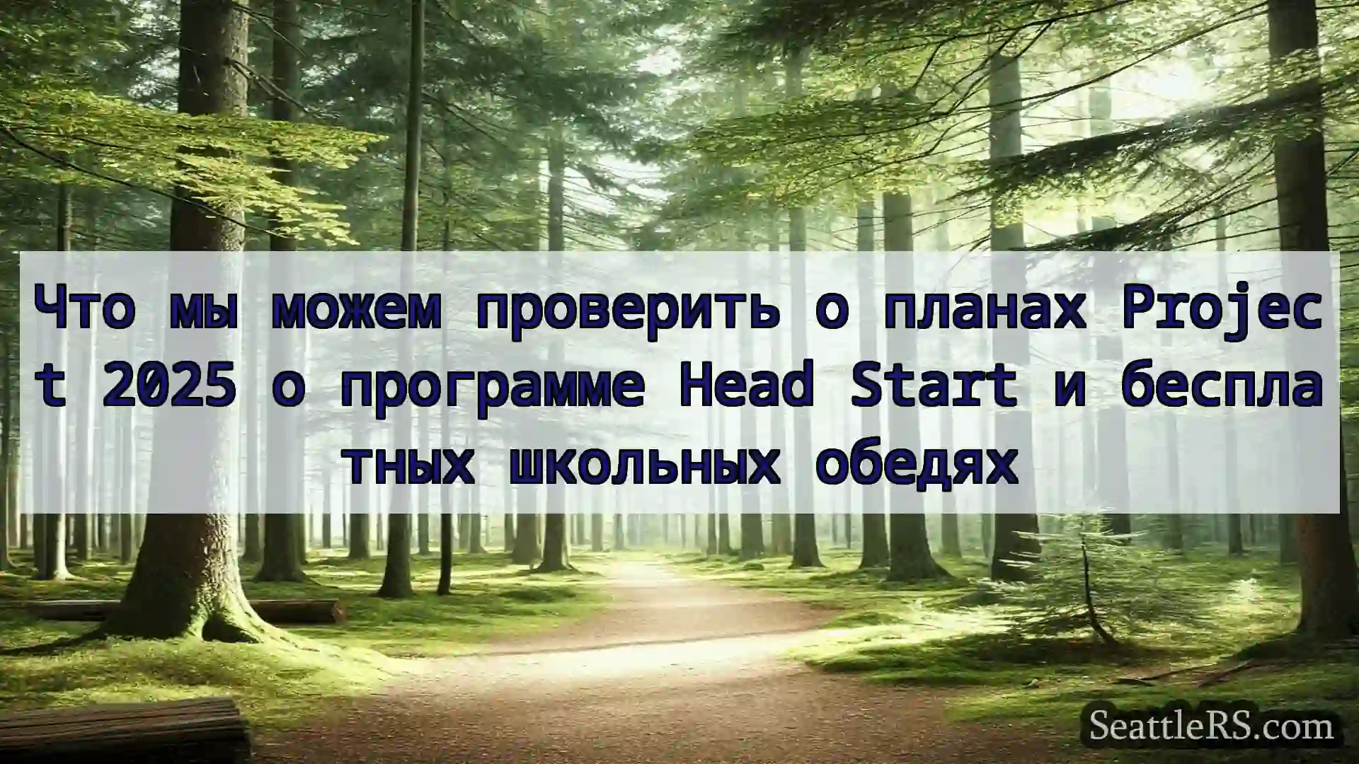 Сиэтл новости Что мы можем проверить о планах