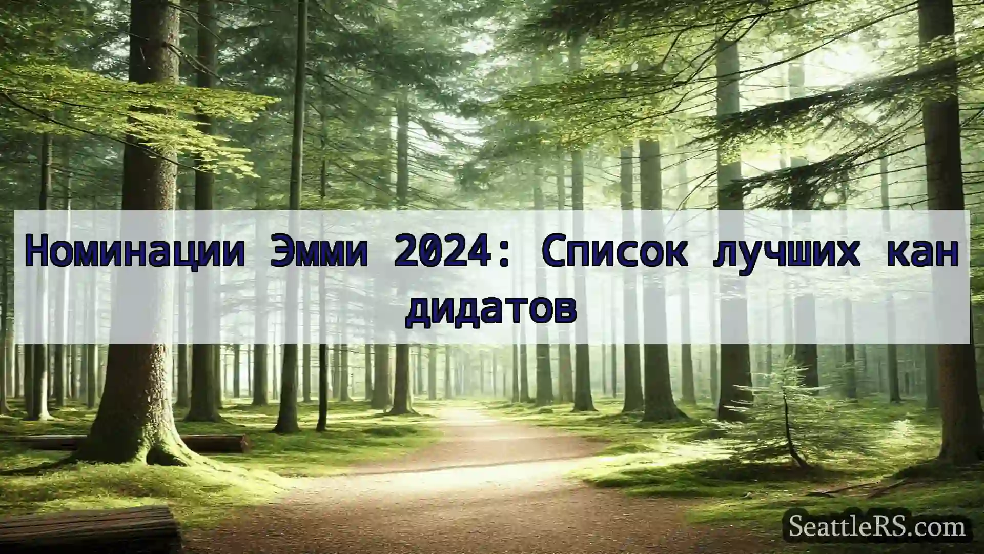 Сиэтл новости Номинации Эмми 2024: Список лучших