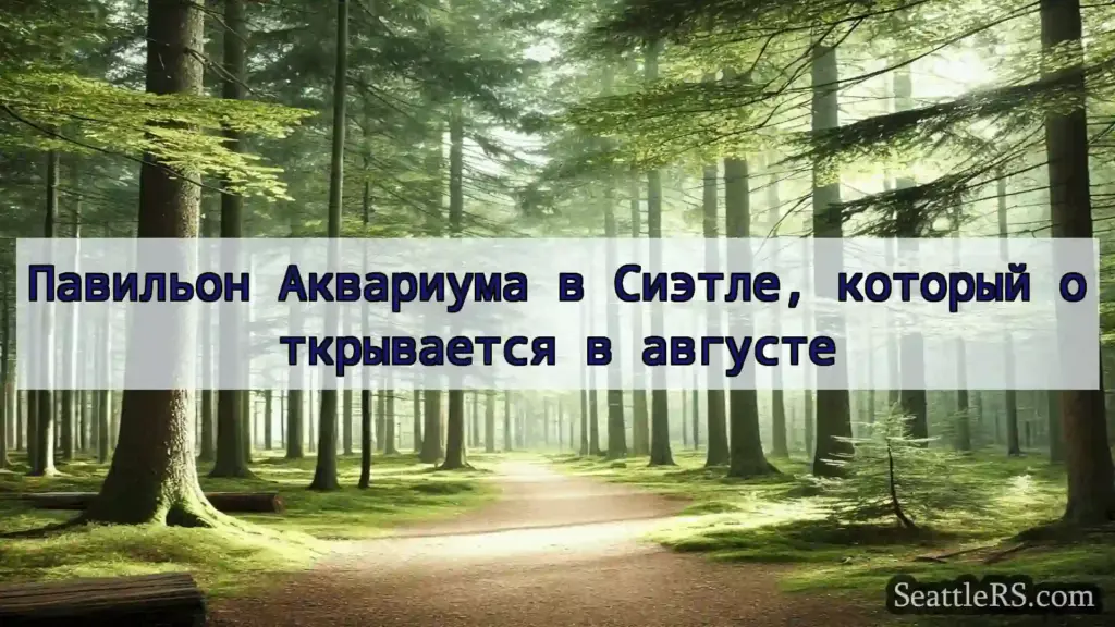 Сиэтл новости Павильон Аквариума в Сиэтле,