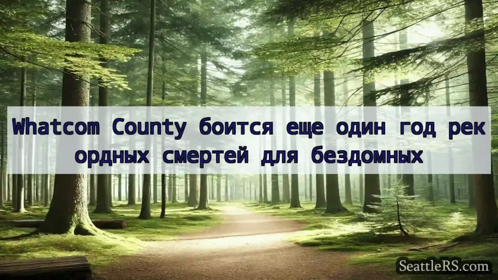 Сиэтл новости Whatcom County боится еще один год