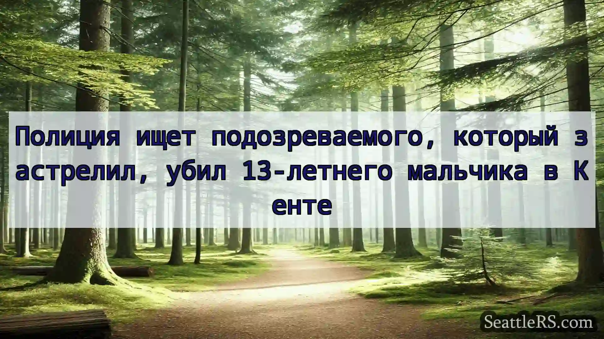 Сиэтл новости Полиция ищет подозреваемого,