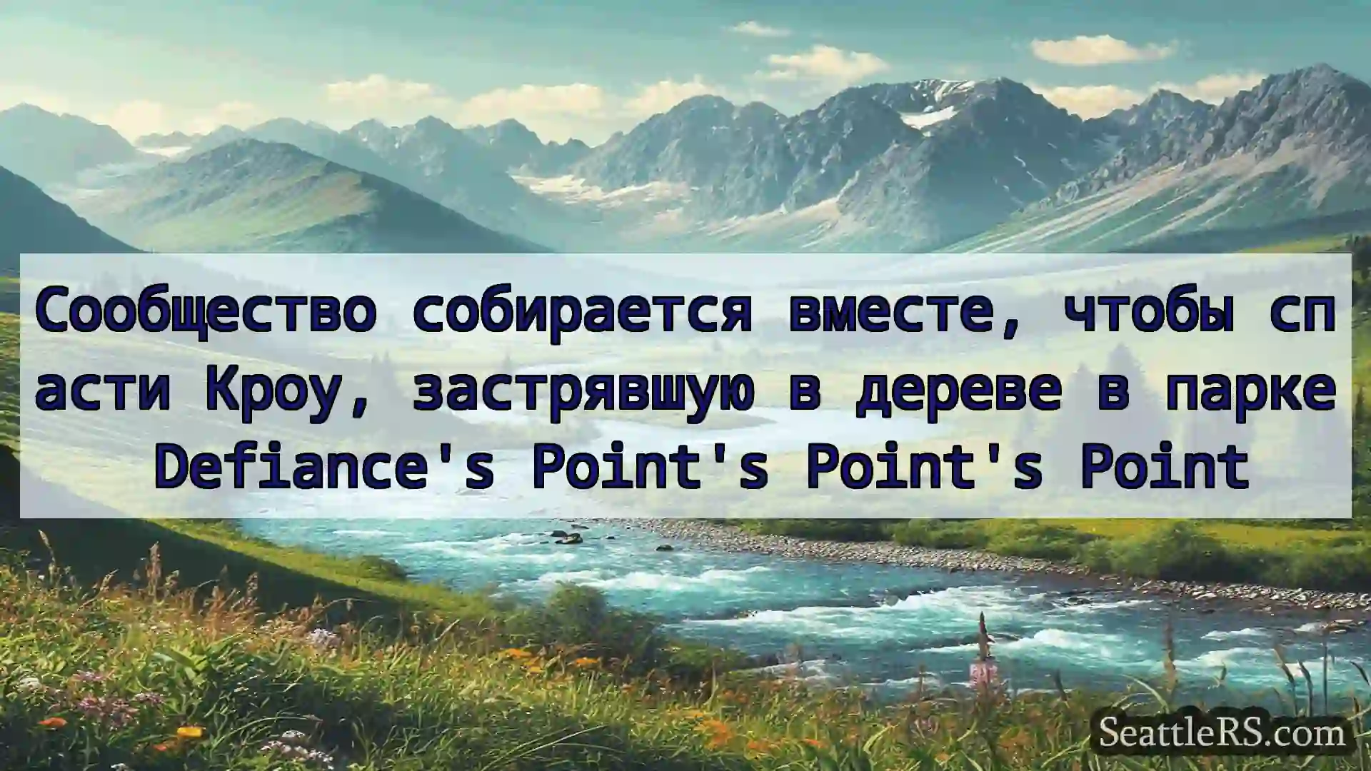 Сиэтл новости Сообщество собирается вместе,