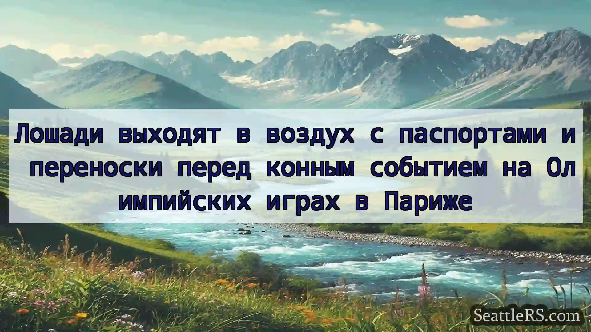Сиэтл новости Лошади выходят в воздух с