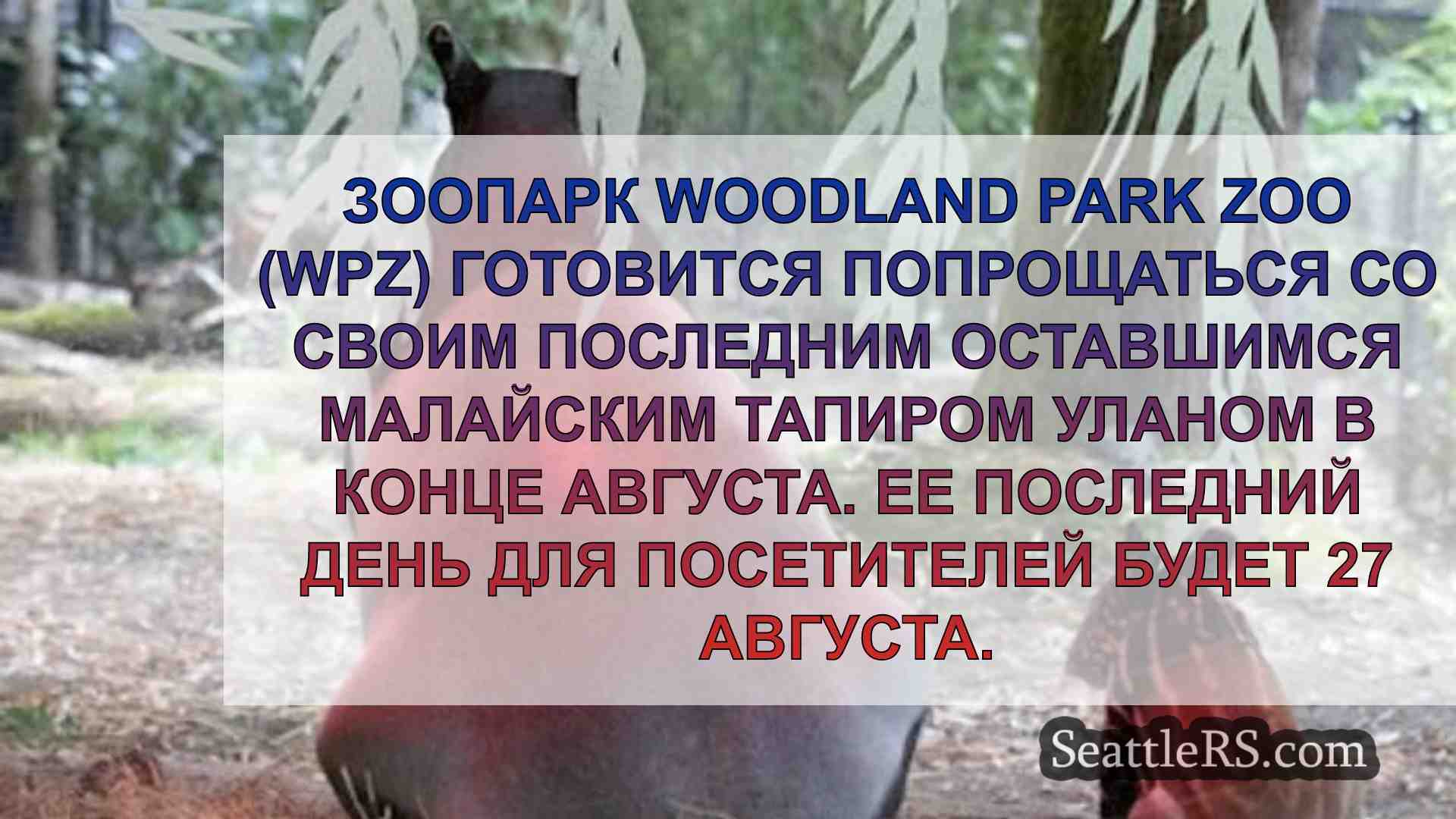 Новости Сиэтла SeattleRS