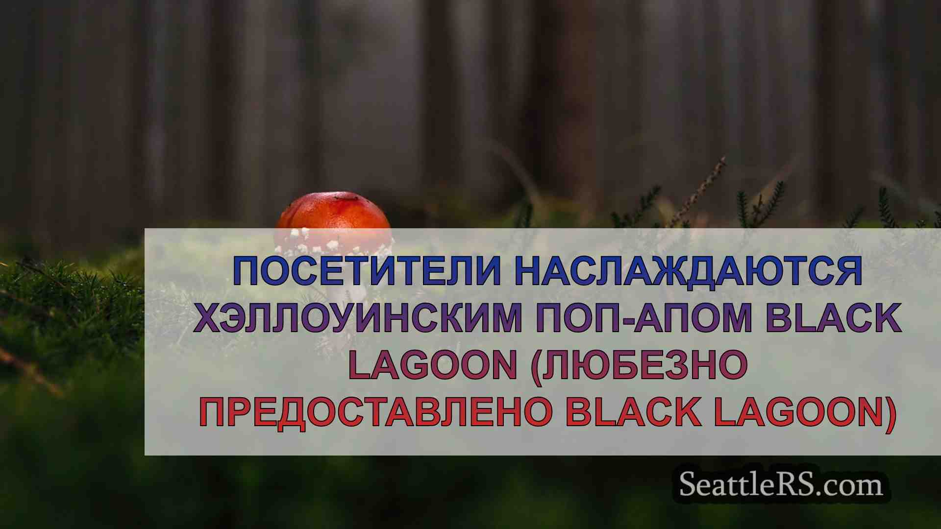Новости Сиэтла SeattleRS