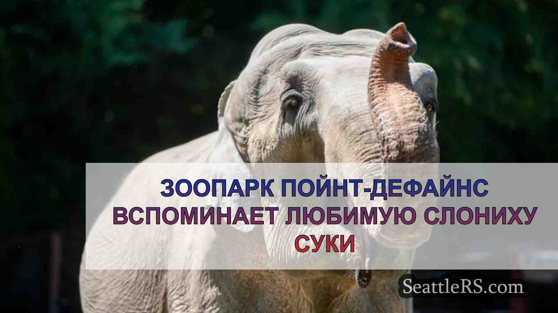 Зоопарк Пойнт-Дефайнс вспоминает