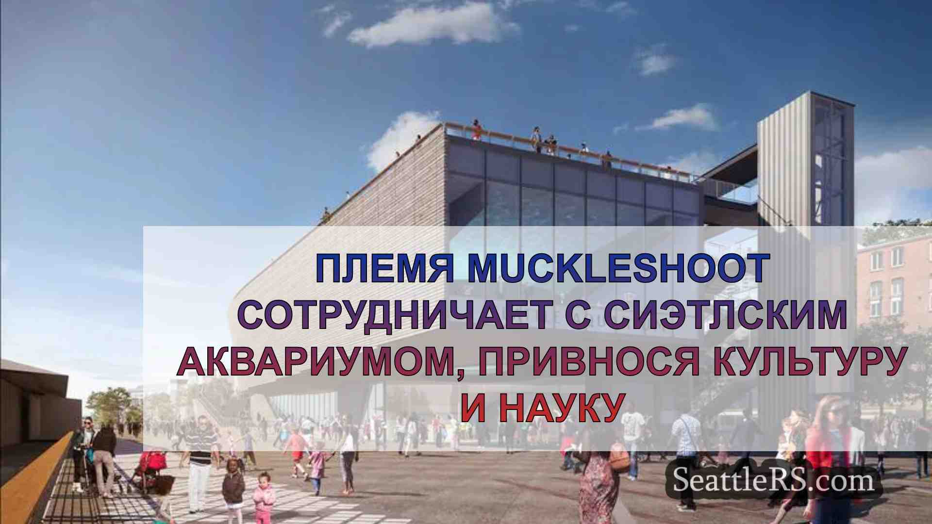 Племя Muckleshoot сотрудничает с
