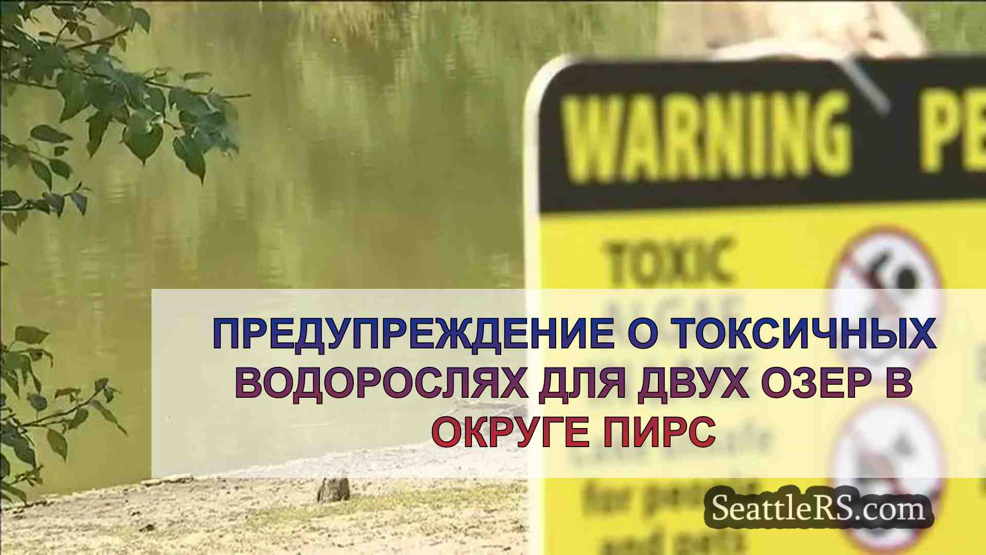 Предупреждение о токсичных водорослях