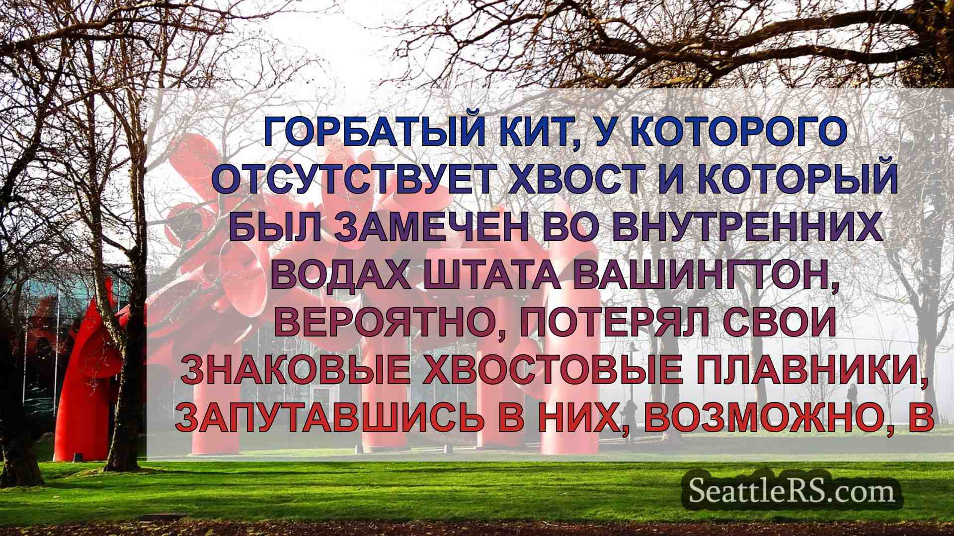 Новости Сиэтла SeattleRS