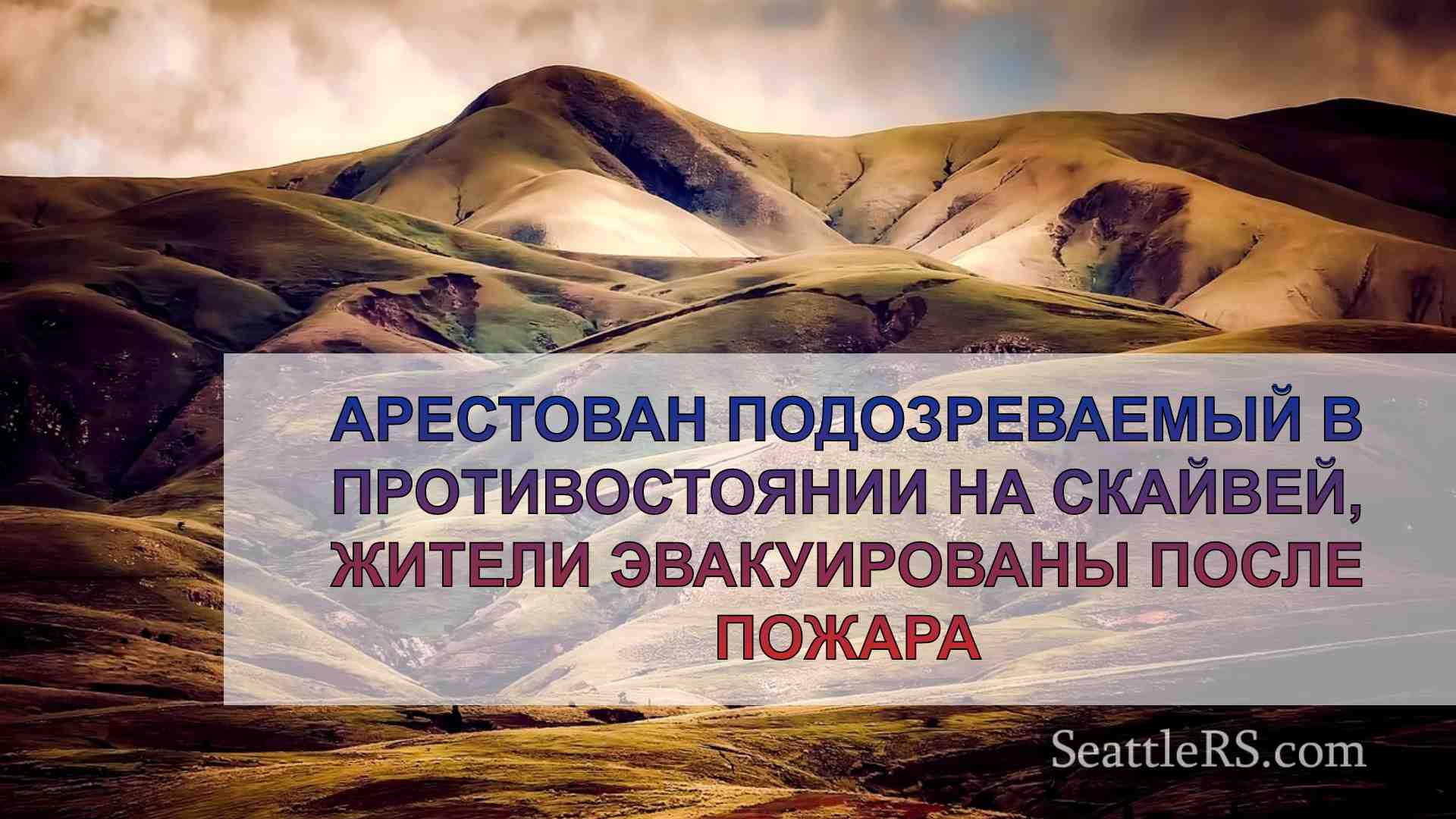 Арестован подозреваемый в