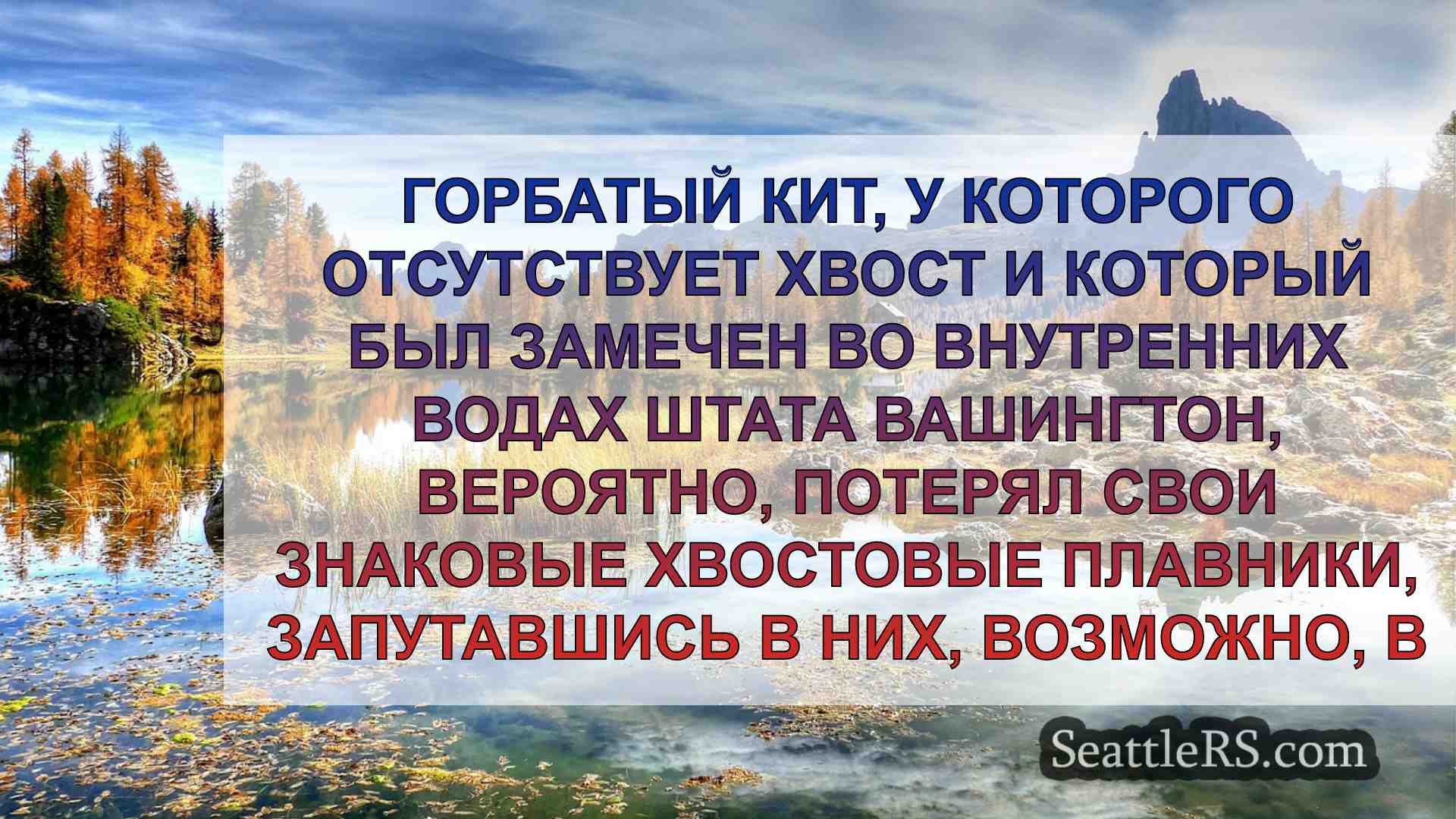 Новости Сиэтла SeattleRS