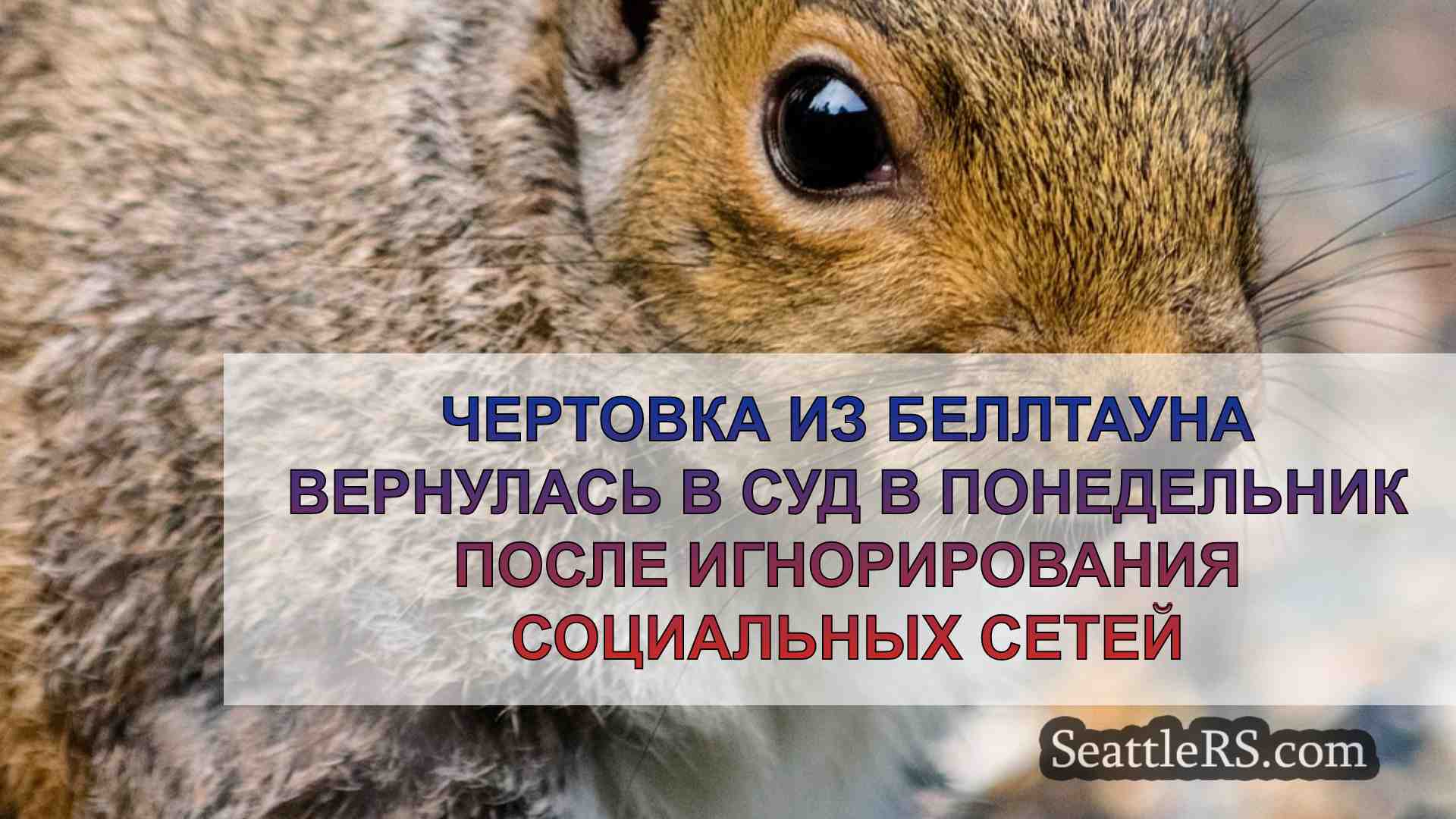 Новости Сиэтла SeattleRS
