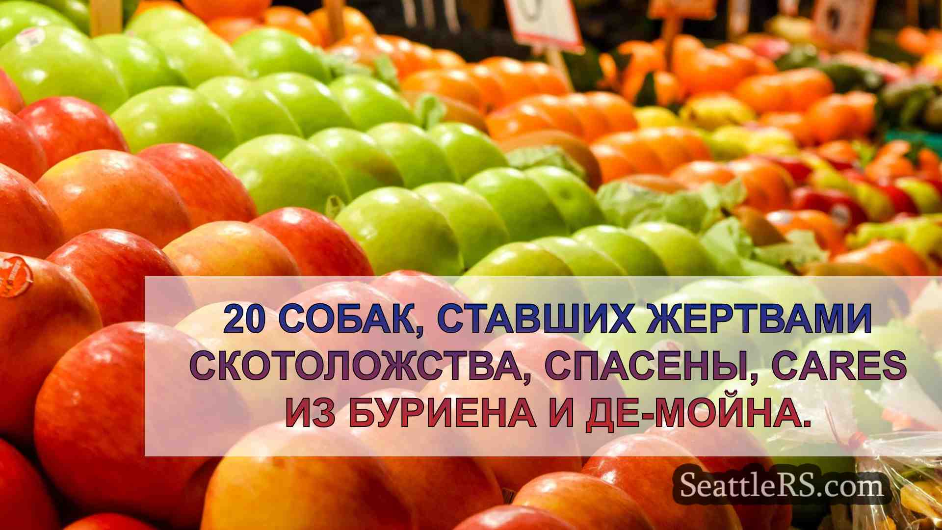 Новости Сиэтла SeattleRS