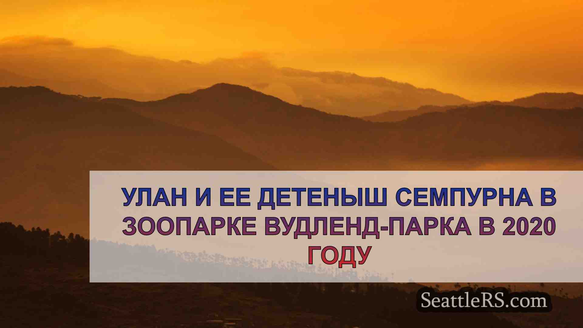 Новости Сиэтла SeattleRS