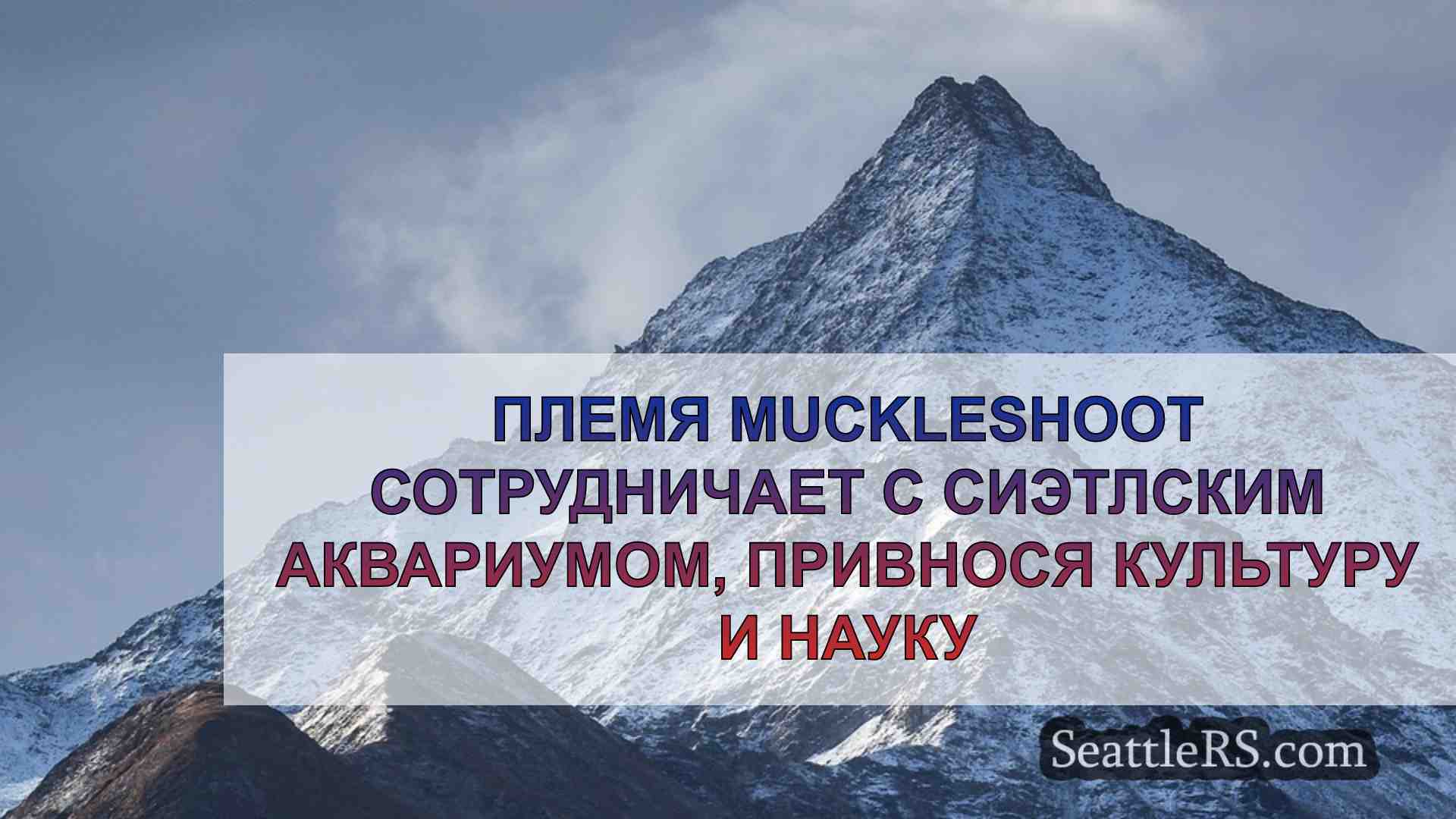 Новости Сиэтла SeattleRS