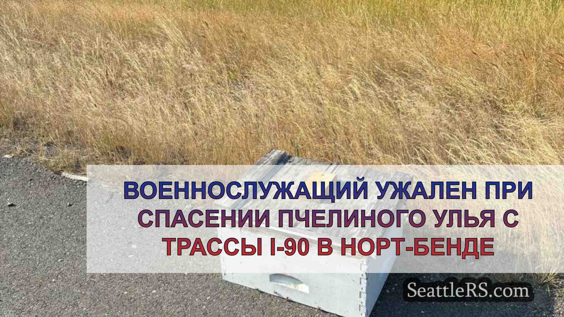 Военнослужащий ужален при спасении