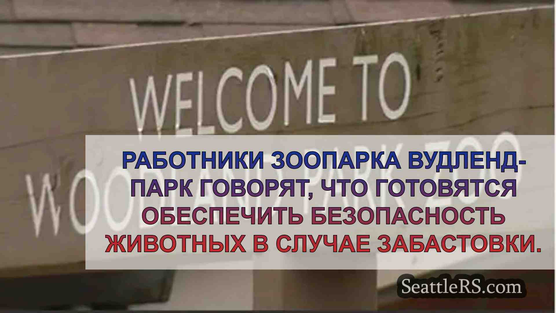 Работники зоопарка Woodland Park