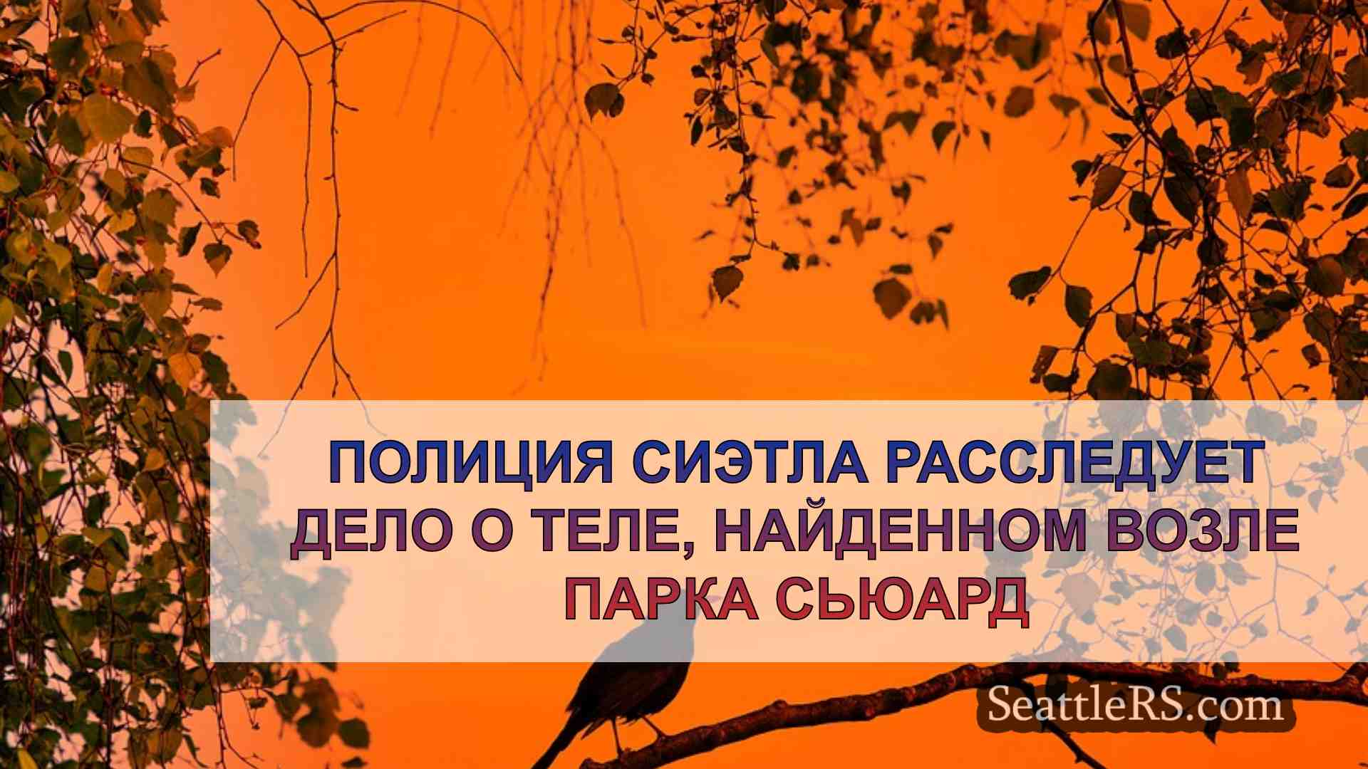 Новости Сиэтла SeattleRS