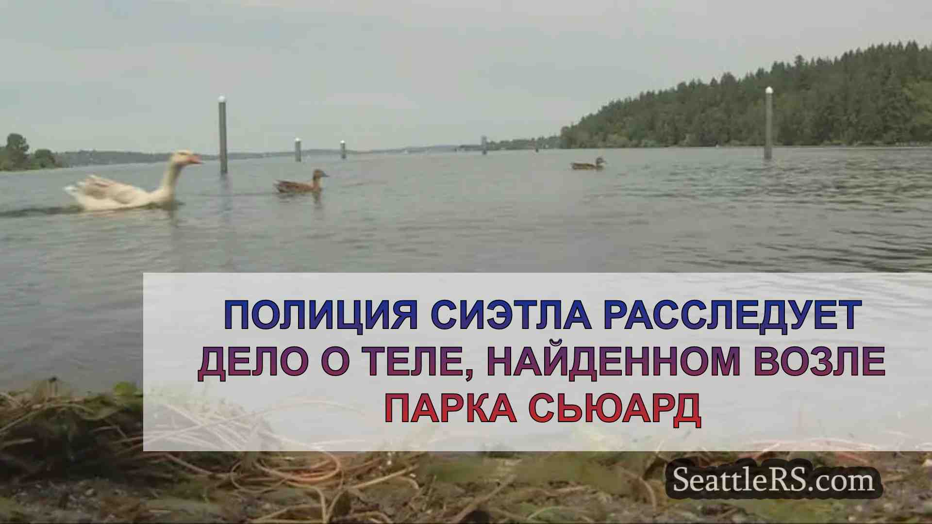 Полиция Сиэтла расследует дело о теле,