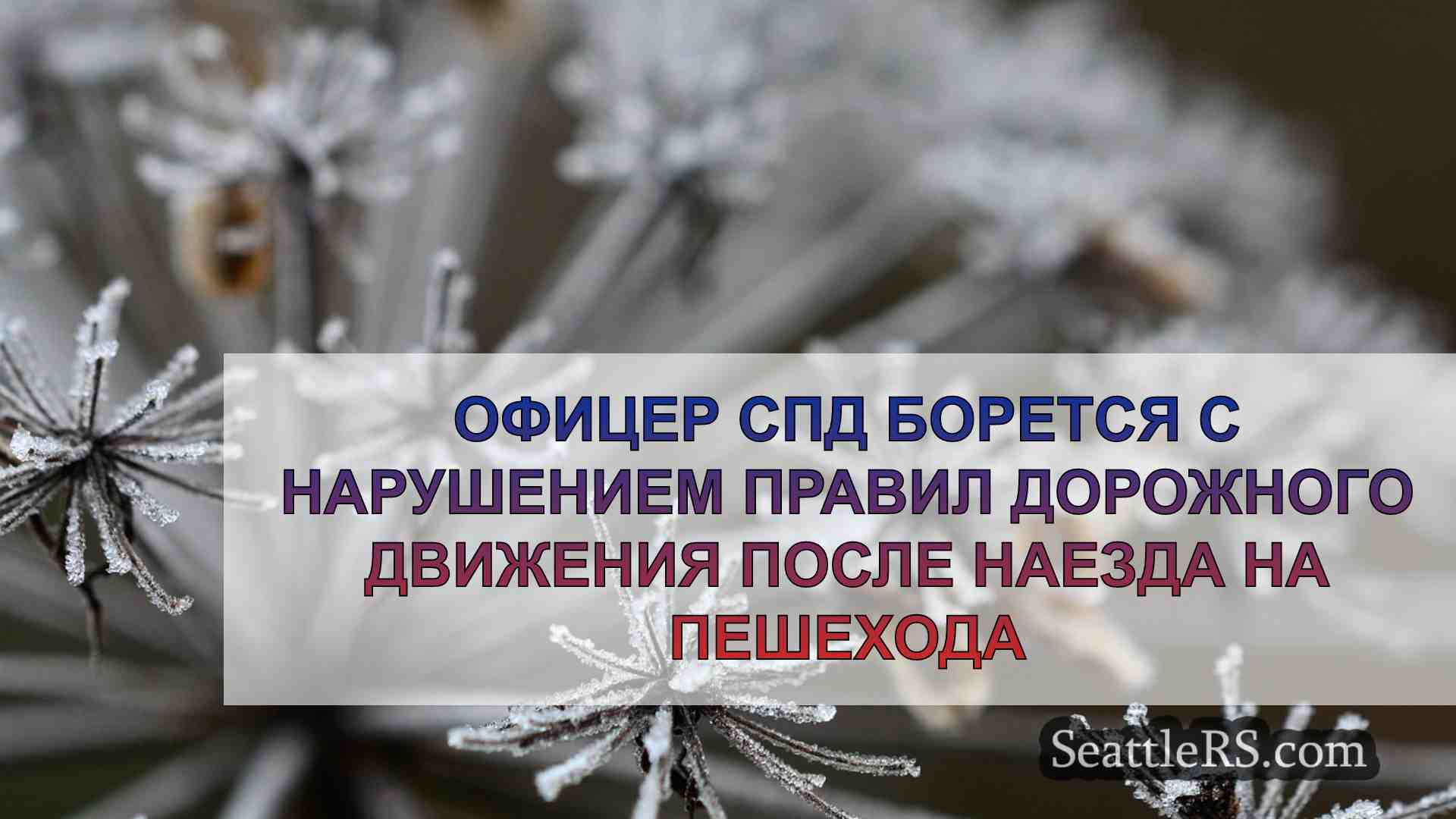 Новости Сиэтла SeattleRS