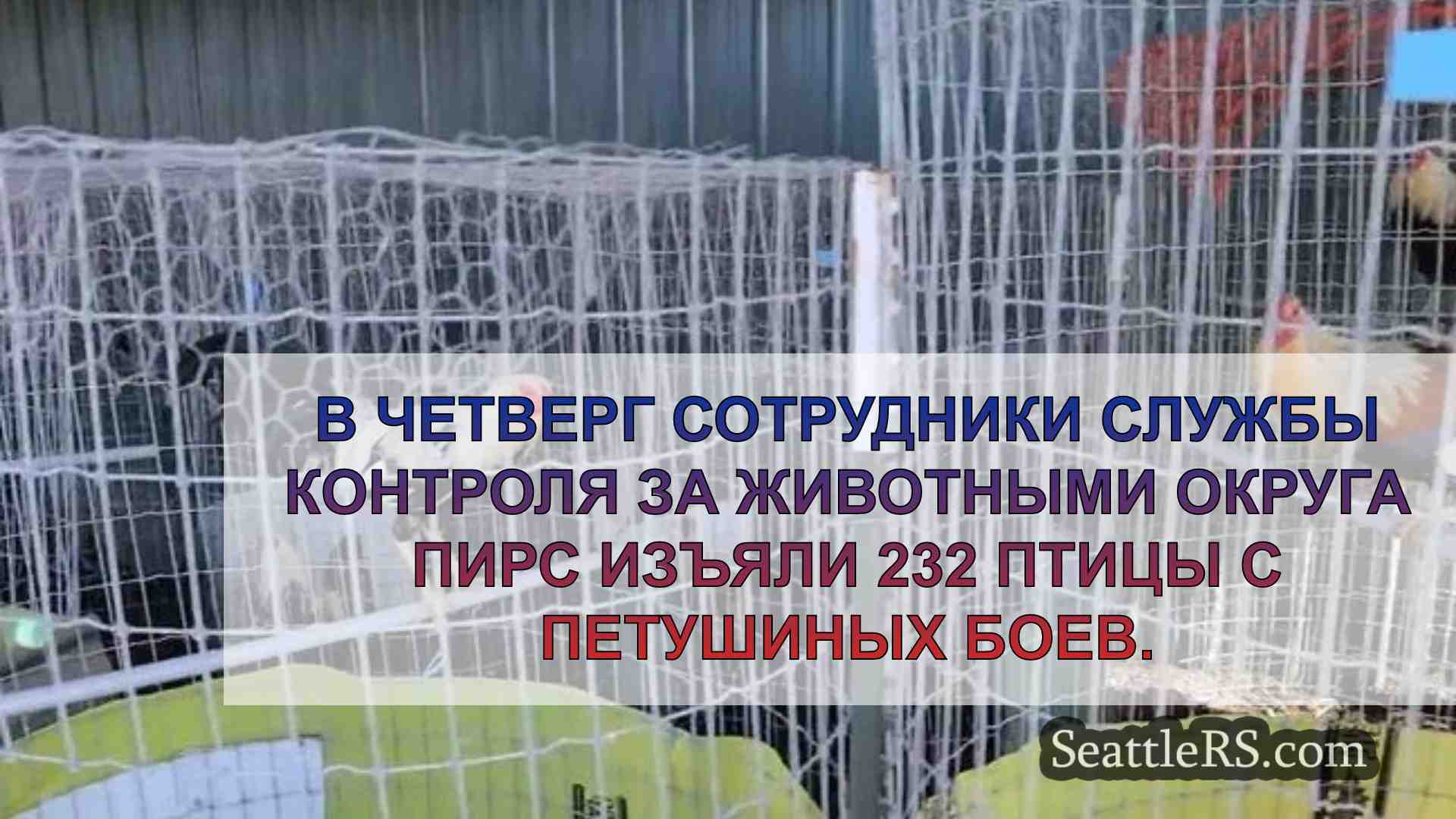Новости Сиэтла SeattleRS