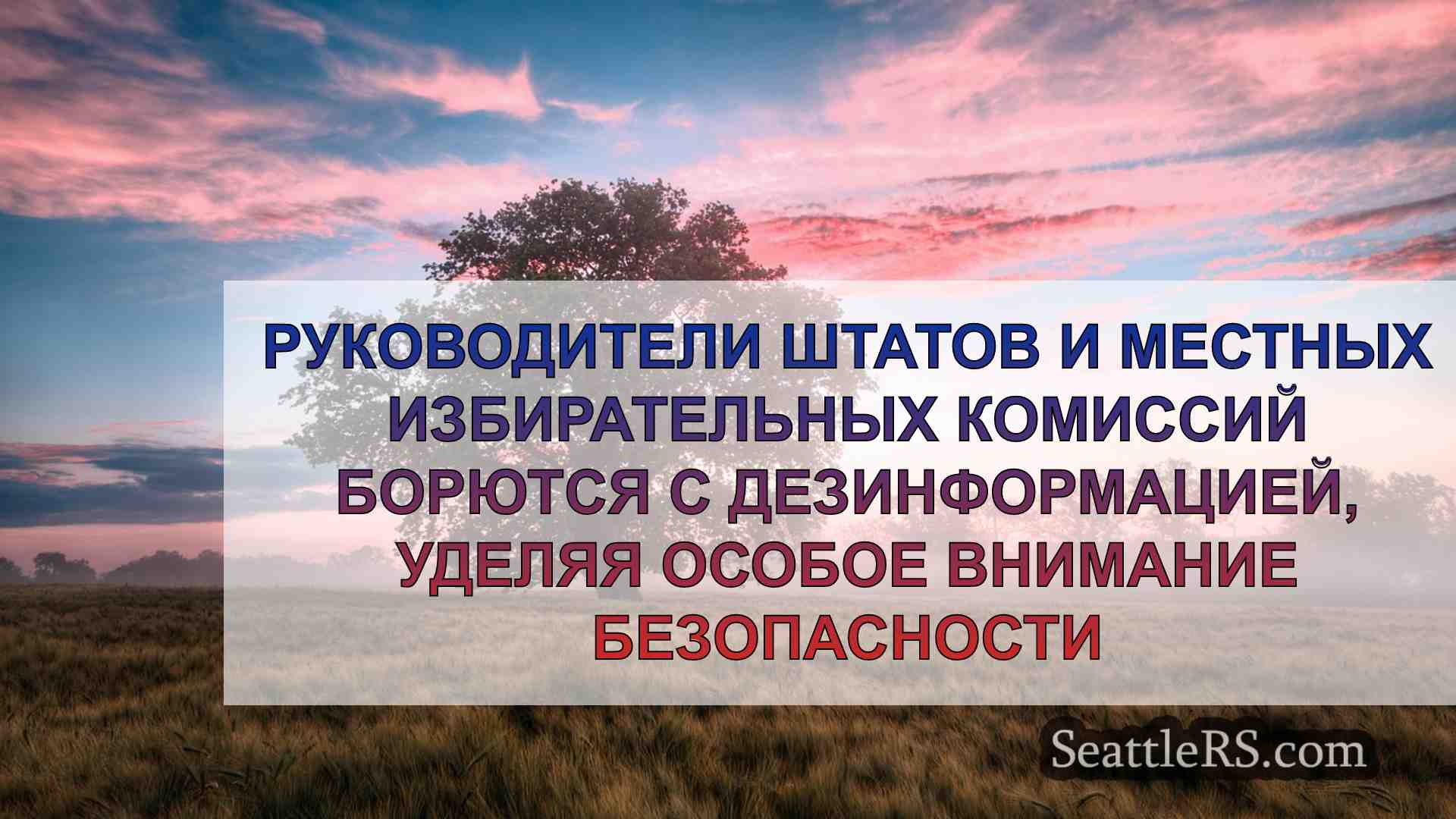 Руководители избирательных комиссий