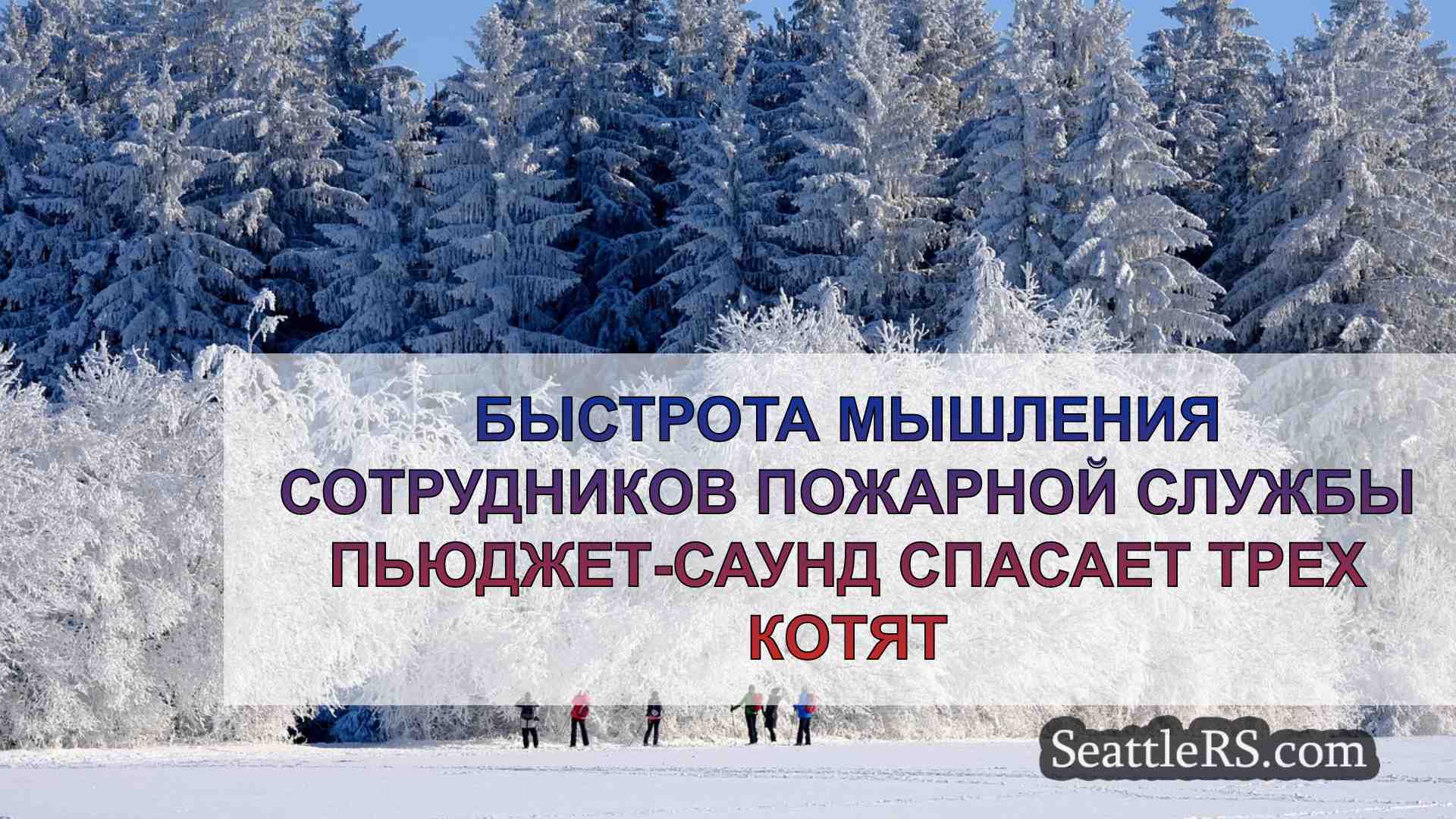 Новости Сиэтла SeattleRS