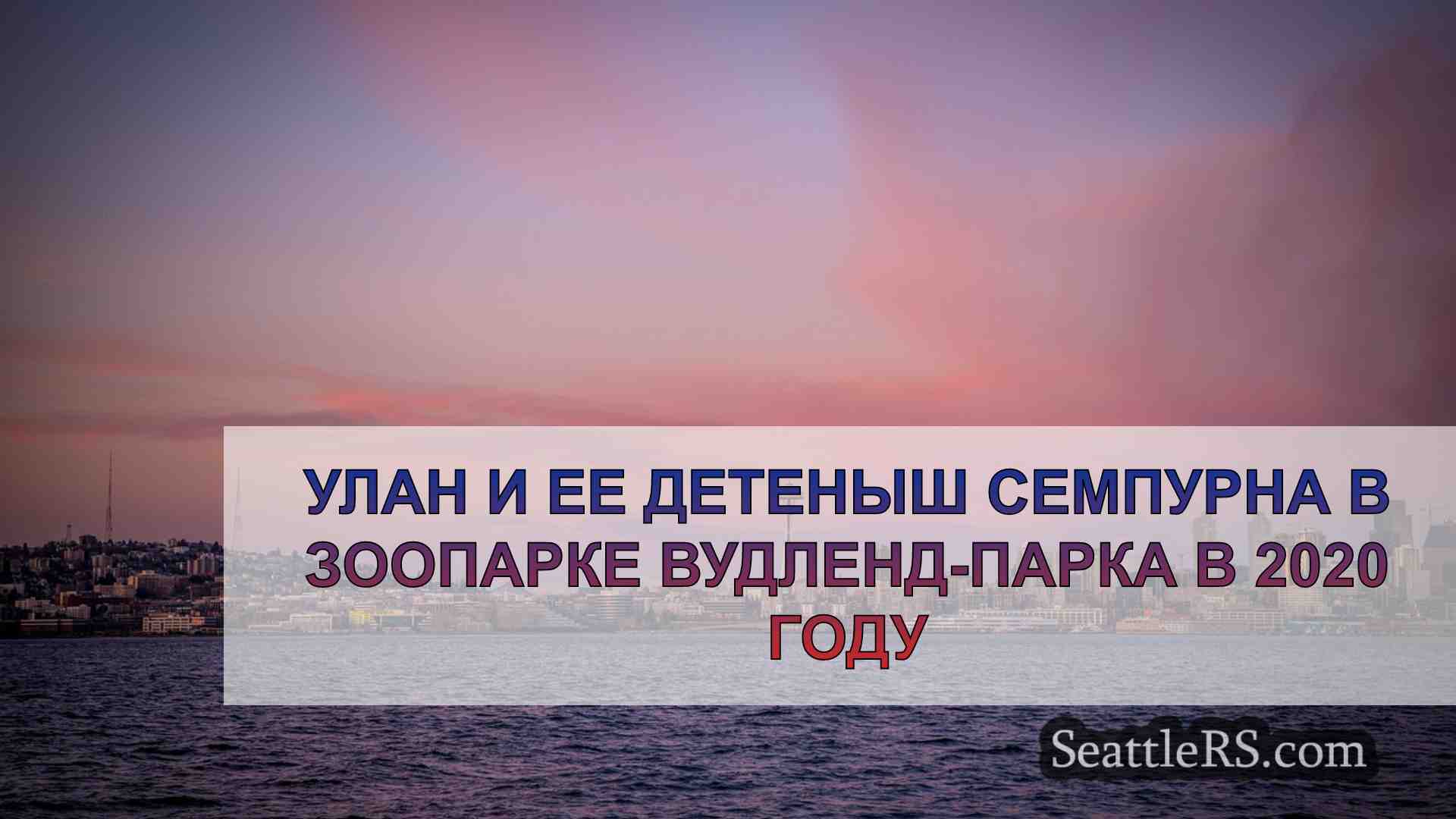 Последний шанс увидеть последнего